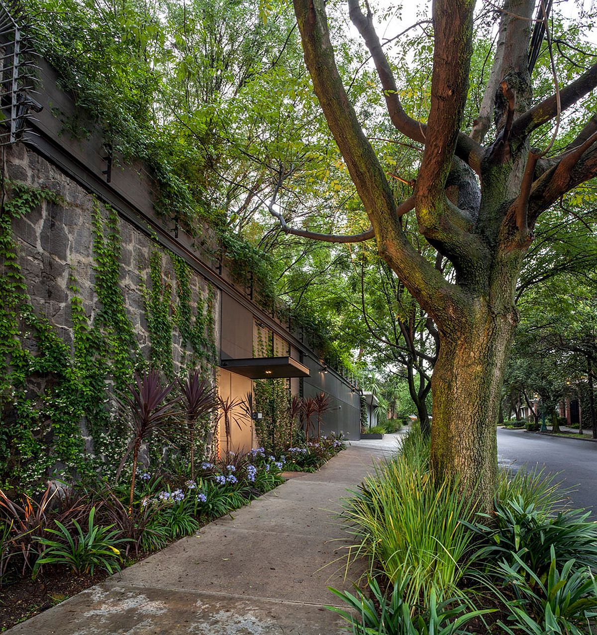 1489544625441075.jpg Creepers-and-flowering-plants-shape-a-beautiful-compund-wall.jpg
