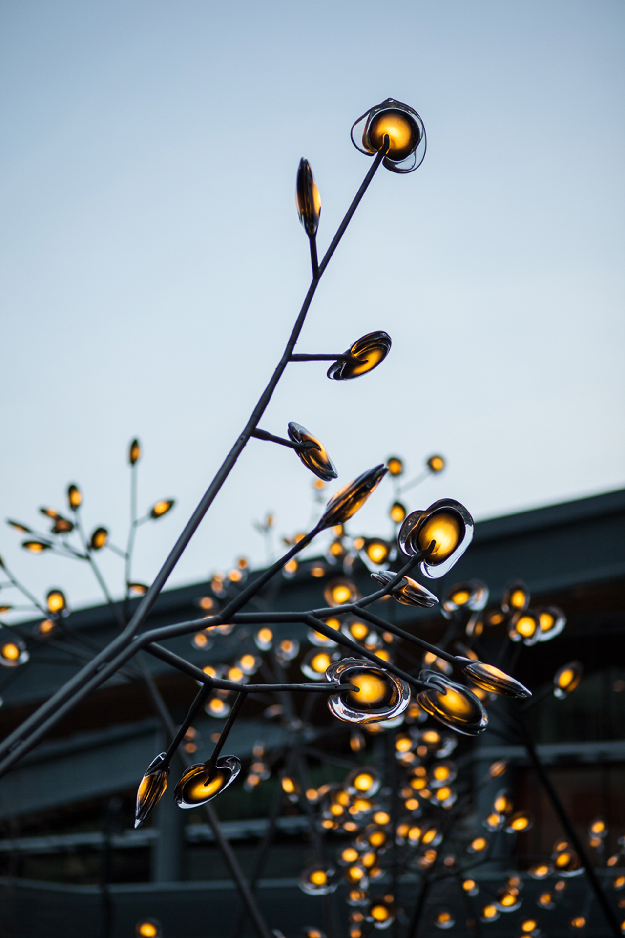 16-16 TREE 吊灯