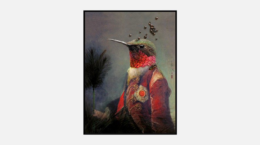 IbrideCollector portrait Ambroise 画