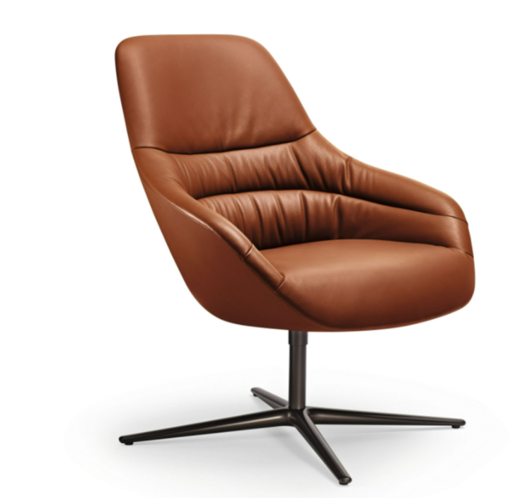 Kyo Lounge Armchair.休闲椅