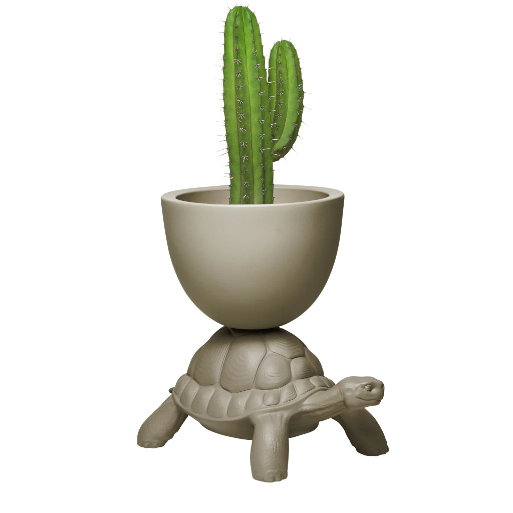 QEEBOOTurtle carry planter and champagne cooler 乌龟式花盆和香槟冷却器
