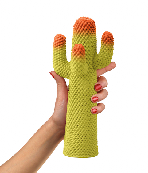 GuframGuframini Cactus Meta双色迷你仙人掌